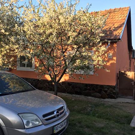 Sadyba U Mykhaila Koson Buitenkant foto
