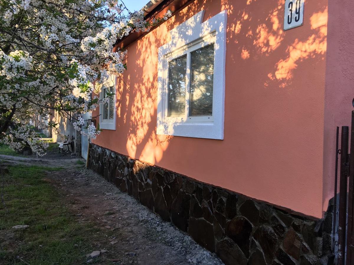 Sadyba U Mykhaila Koson Buitenkant foto